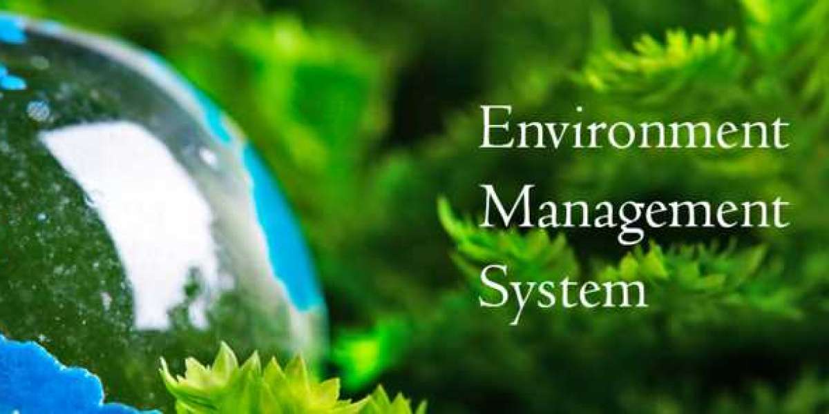 ISO 14001 Internal Auditor Training: Building Skills for Environmental Compliance