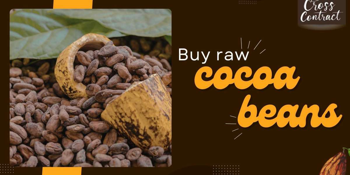 Buy Raw Cocoa Beans: A Buyer’s Guide to Quality and Origin