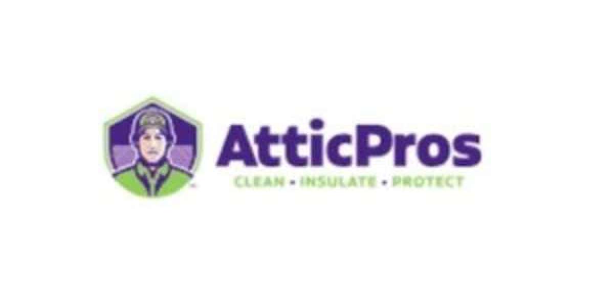 Professional Attic Cleaning for a Safer and Healthier Home