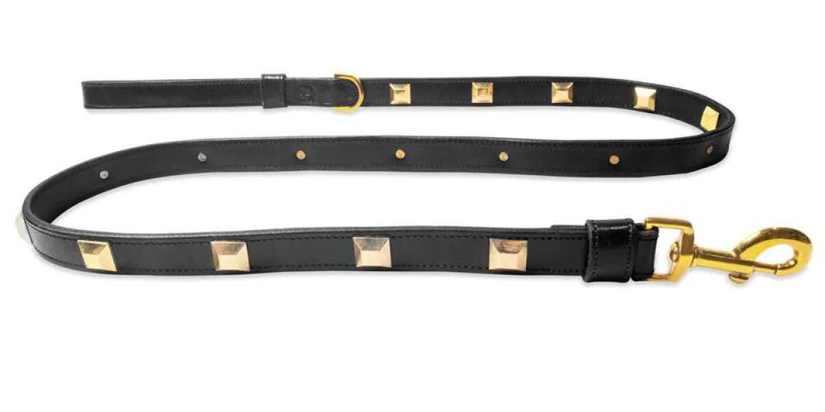 Why Leather Leashes for Dogs Are the Ultimate Choice for Pet Owners