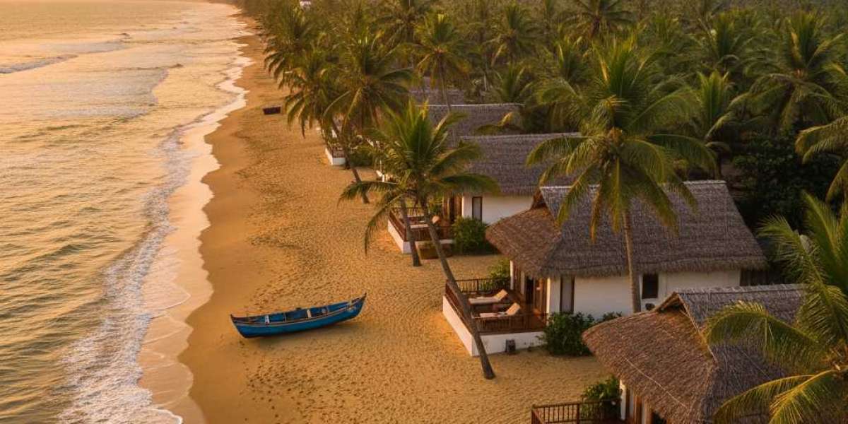 Why Alleppey Houseboats Are Kerala’s Most Magical Stay Experience