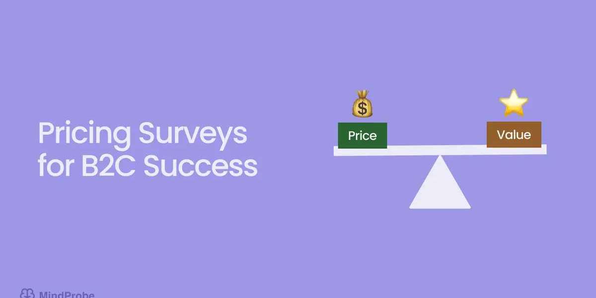 How to Use Surveys for Pricing Strategy in Competitive B2C Markets