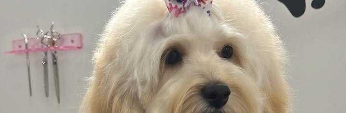 Brooklyn Pet Spa Cover Image