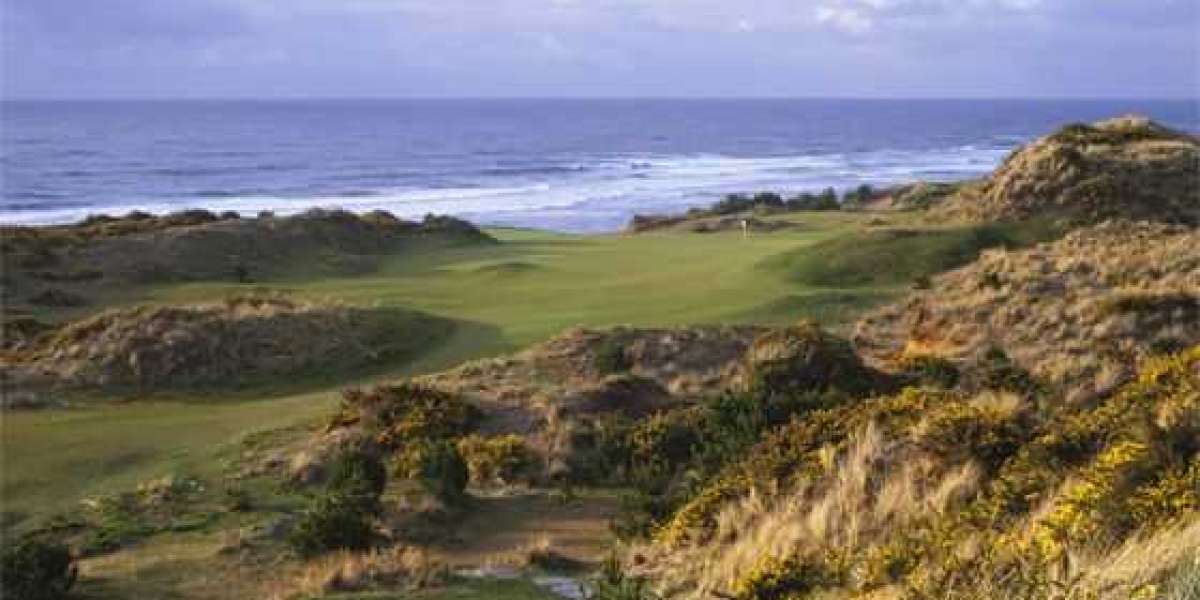 Edisto Beach Rentals Near Undeveloped Coastal Landscapes