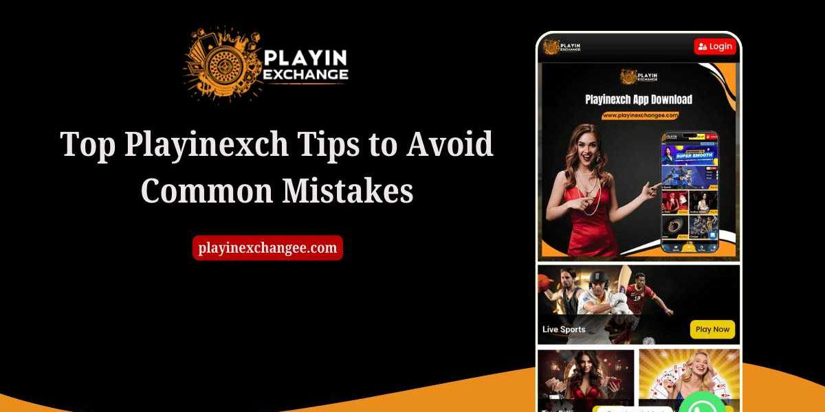 Top Playinexch Tips to Avoid Common Mistakes