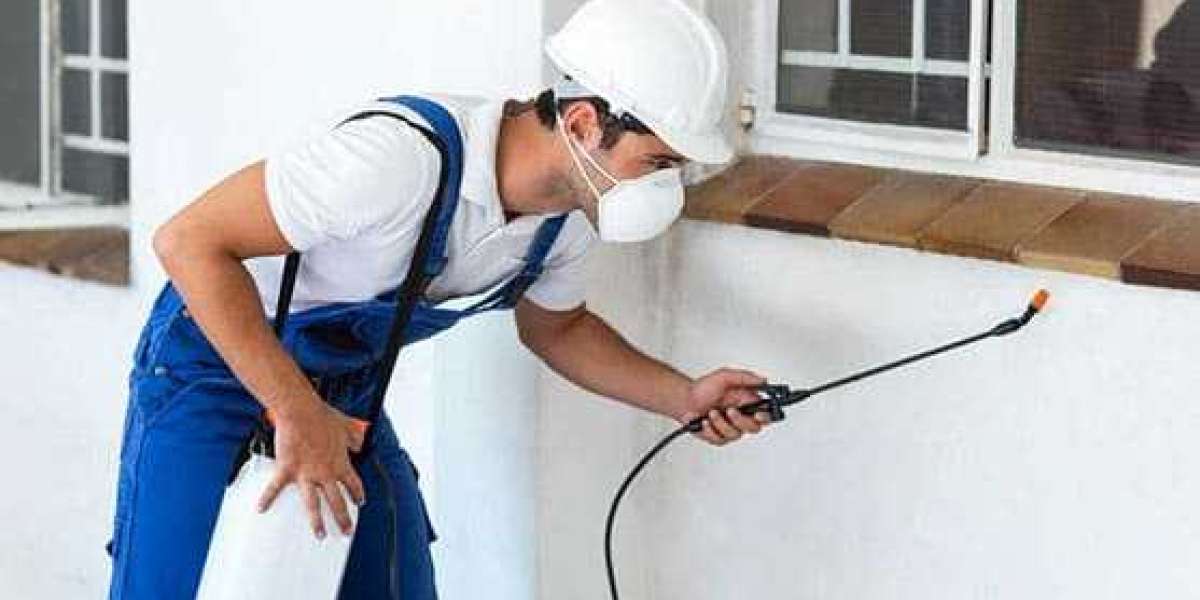 Truly Nolen Pest Control for Long-Term Home Protection