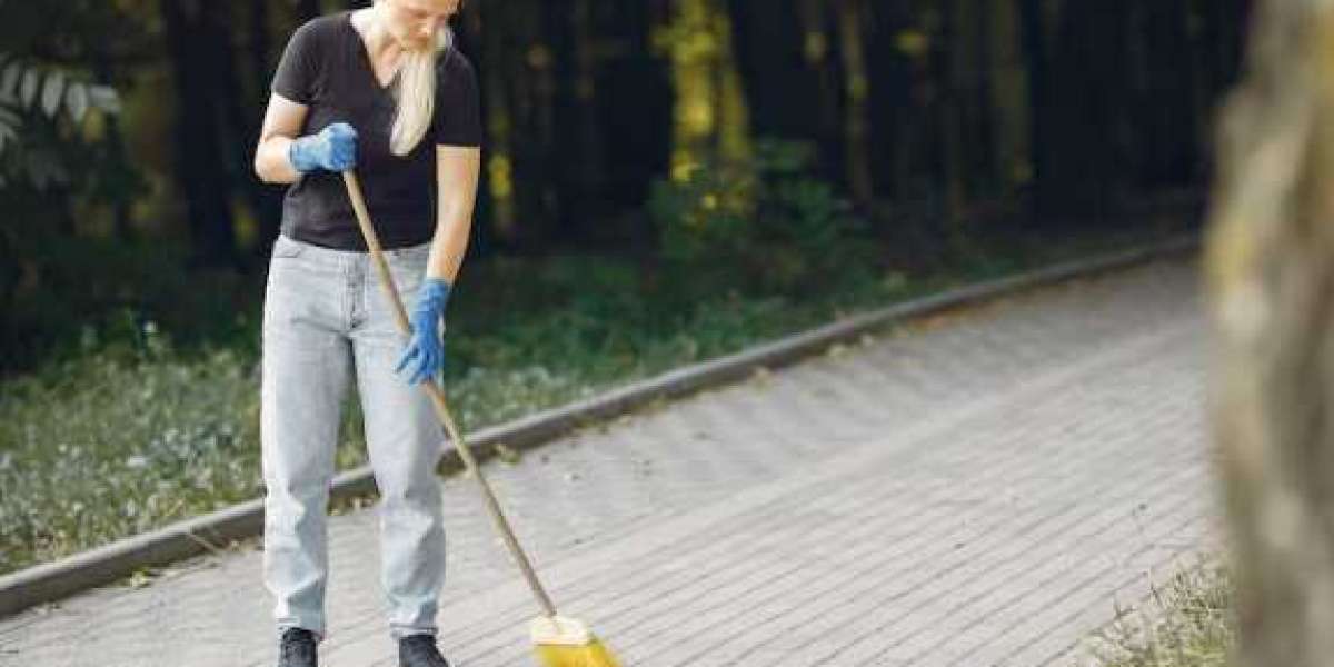 Roof Pressure Washing Arlington and Driveway Cleaning Arlington: The Complete Guide to a Cleaner Property