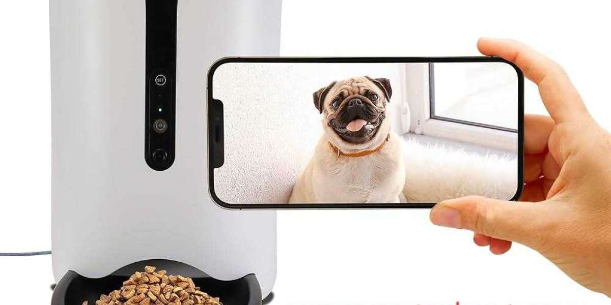 What Draws Attention To Pawtechpet Pet Smart Appliances Today