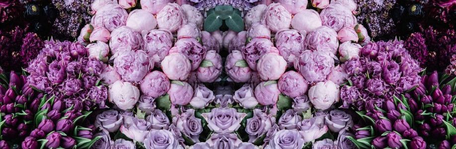 The Big Bunch Cover Image