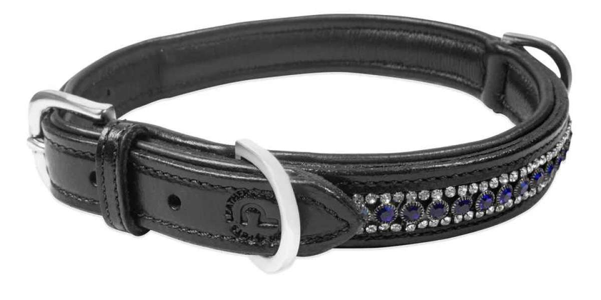 The Ultimate Guide to Leather Dog Collars: Comfort, Style, and Durability