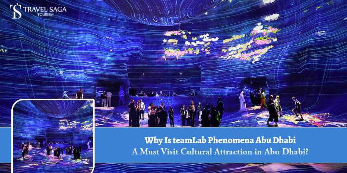 Why Is TeamLab Phenomena Abu Dhabi a Must Visit Cultural Attraction in Abu Dhabi?
