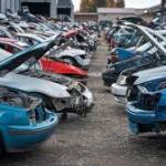 Seoarshad857 Profile Picture