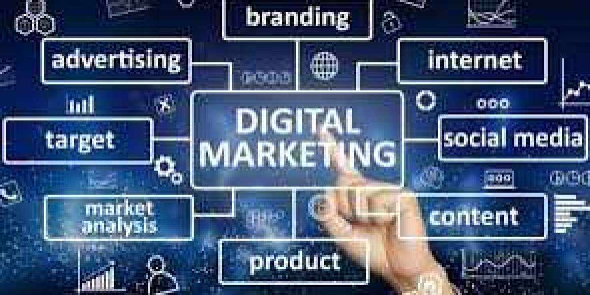 Top Digital Marketing & Custom Software Development Company in Delhi NCR – Cliffcoderz Softwares