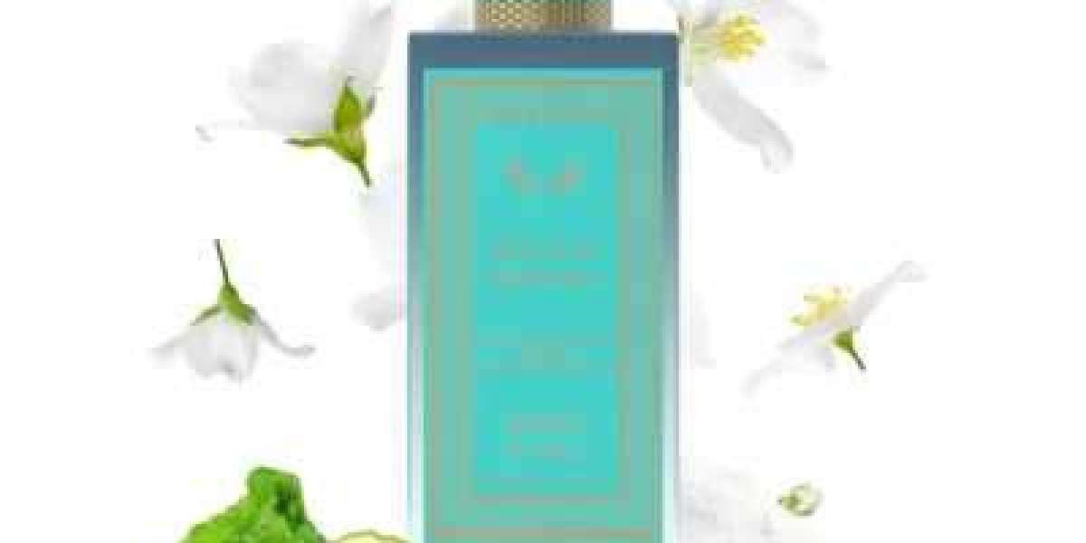 Musk Perfume Shop UK – Discover Timeless Fragrance Elegance