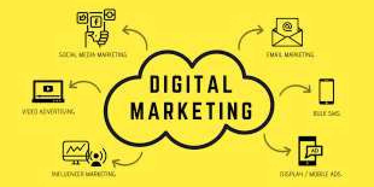Best Digital Marketing, SEO, Website Development & IT Solutions Company in Delhi NCR | Cliffcoderz