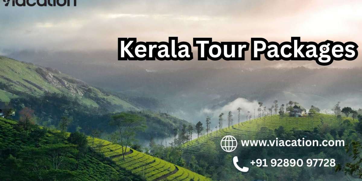 Experience Kerala Packages with Private Houseboat Stays