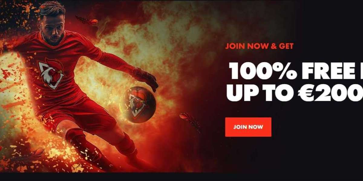 Roosterbet Safest Online Gaming Choices Canada