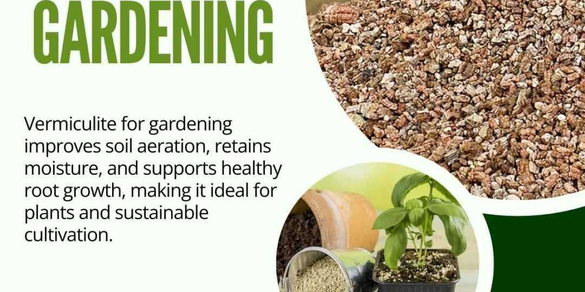 Vermiculite for Gardening: Improve Growth and Moisture