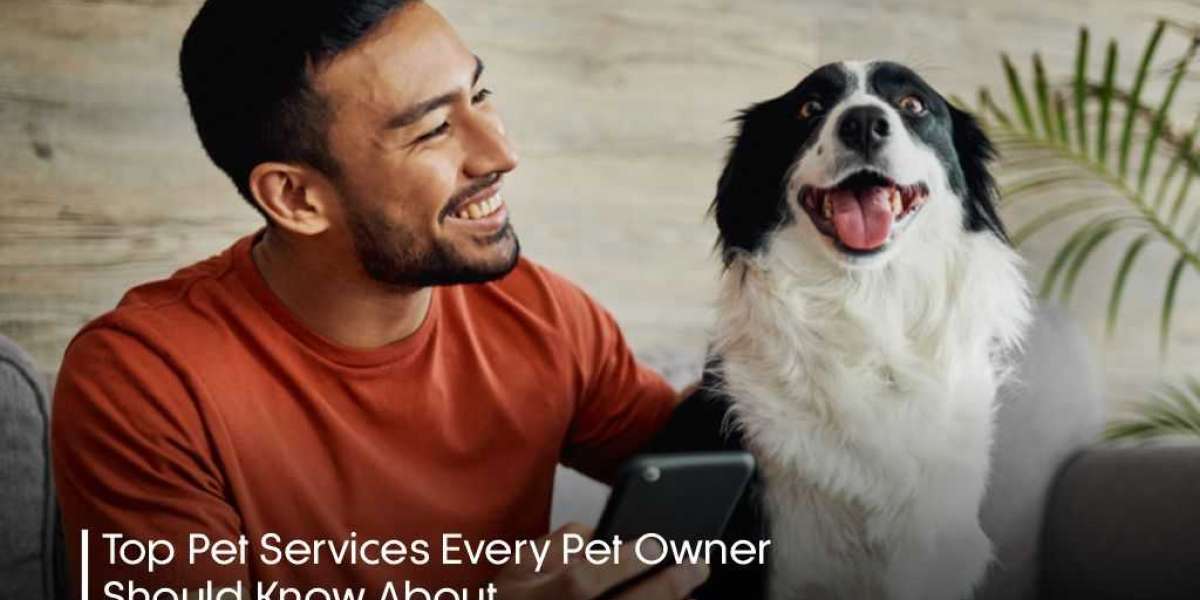 Top Pet Services Every Pet Owner Should Know About