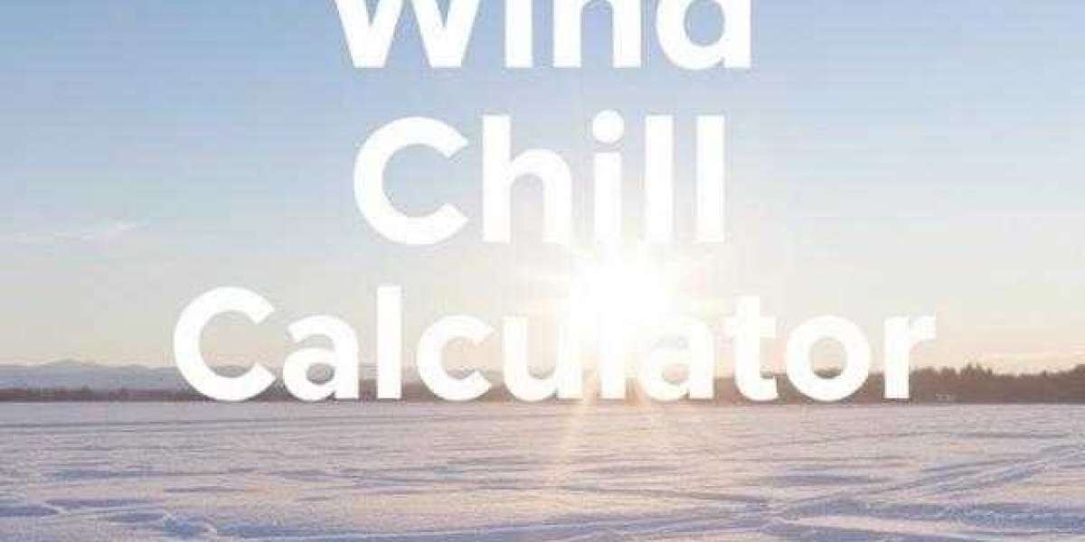 Your Winter Secret: How a Wind Chill Calculator Actually Works