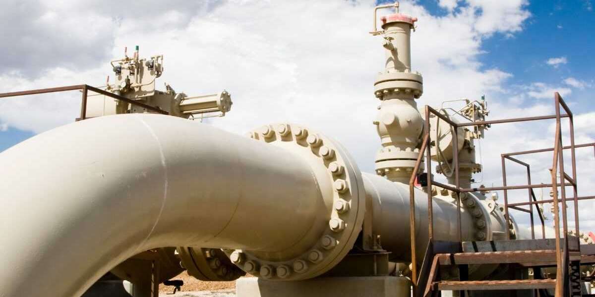 Sustainability Consulting: Expert Guidance for Environmental Business Leadership