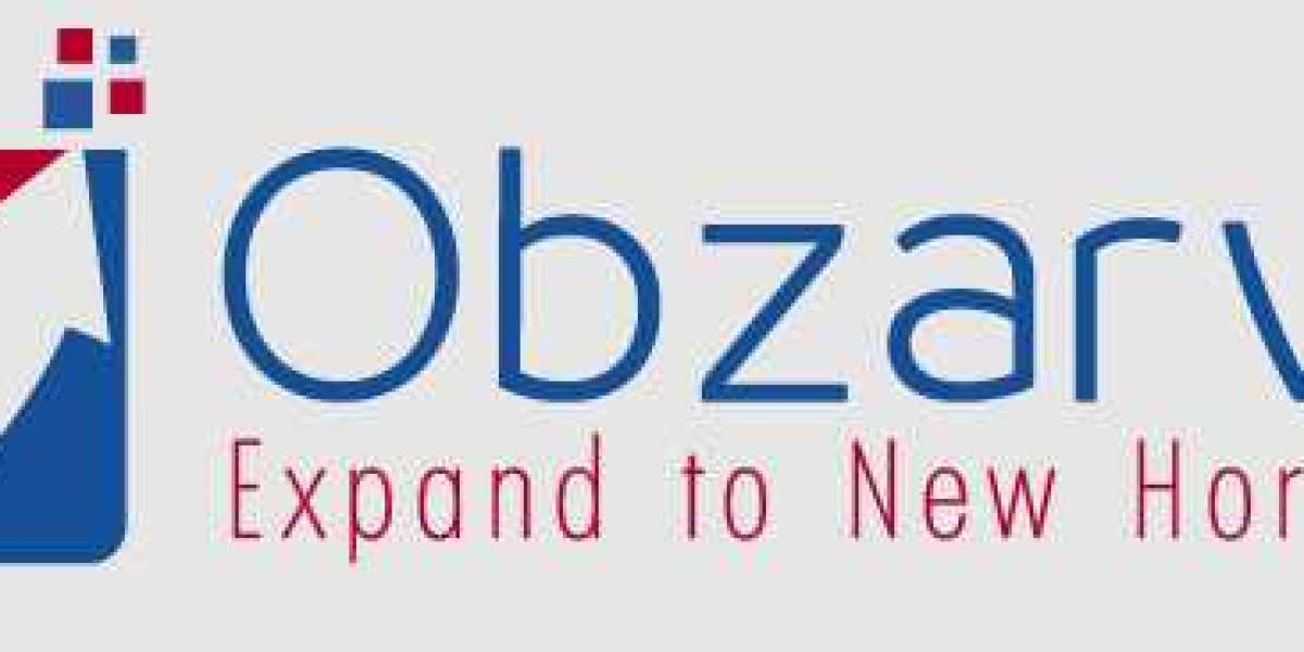 Obzarve: Your Digital Success Partner | obzarve.com