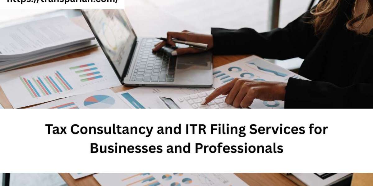 Tax Consultancy and ITR Filing Services for Businesses and Professionals