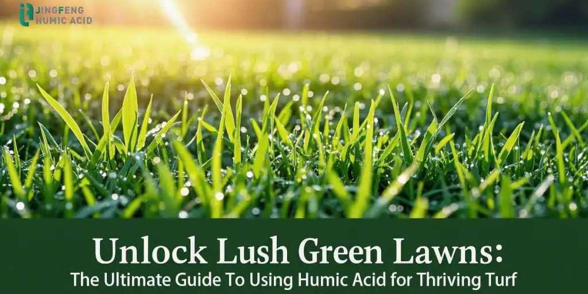 Humic Acid Lawn Benefits: Natural Solution for Dense, Green Turf Growth