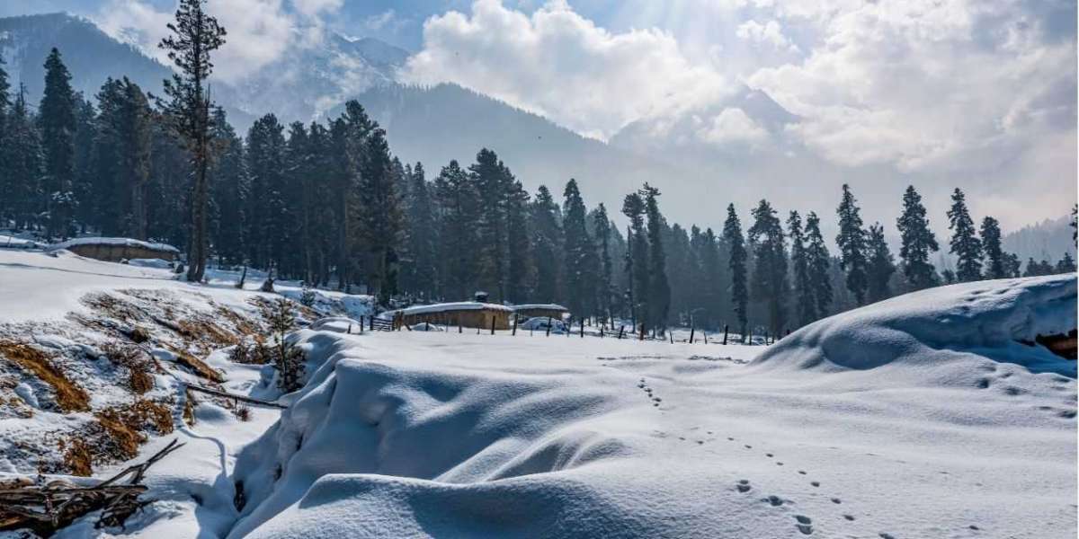 Best Kashmir Tour Packages for First-Time Travelers