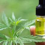 Parsadanial458 Profile Picture