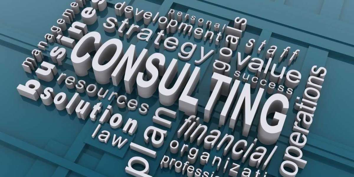 A Comprehensive Guide to EB2 NIW Consulting Services in Lahore by Adventure Gateways