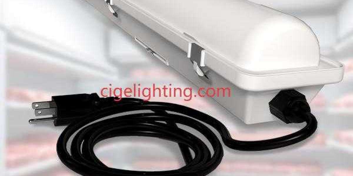 Cige Advances Elegant 2ft Led Triproof Light Innovation