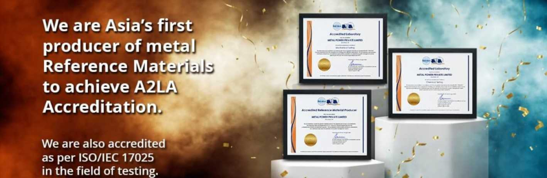 Metal Power Standards Cover Image