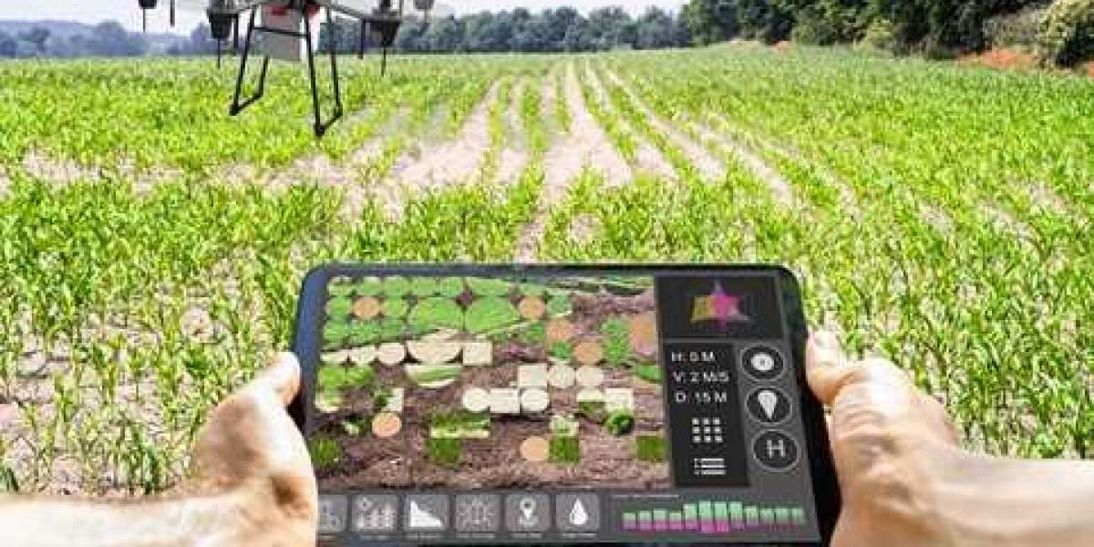 AI-Guided Precision Agriculture Is Changing How Farmers Grow Food