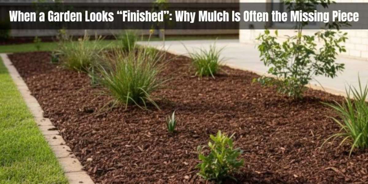 When a Garden Looks “Finished”: Why Mulch Is Often the Missing Piece