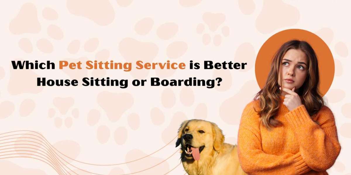 Which Pet Sitting Service is Better: House Sitting or Boarding?