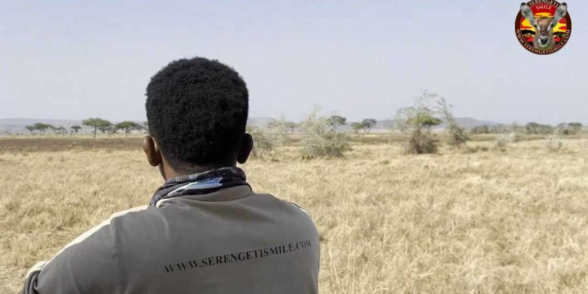 3 Days Tarangire National Park Safari: A Perfect Short Adventure in Northern Tanzania