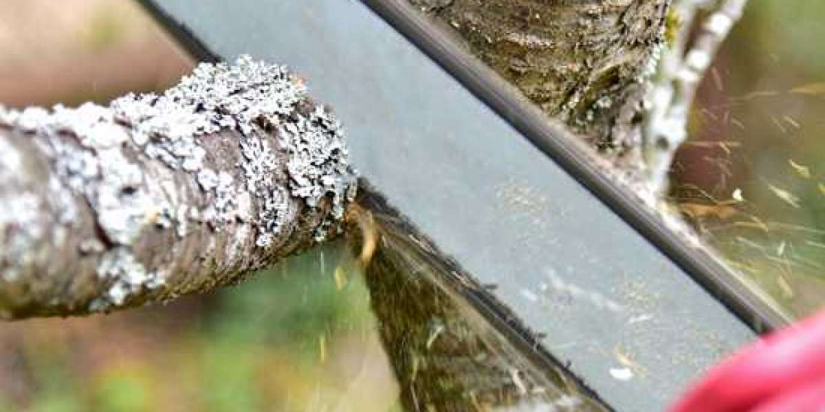 Garden Maintenance Sydney | Hills Gardening & Tree Lopping