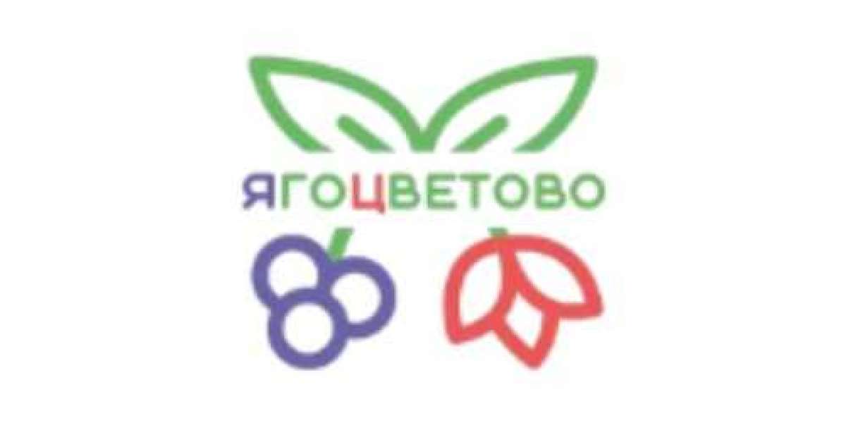 Тюльпаны к 8 Марта свежие и яркие