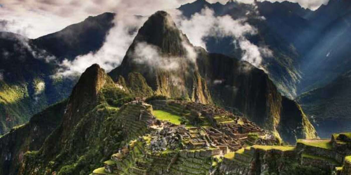 Why the Condor Tour in Cusco Is a Must for Nature Lovers