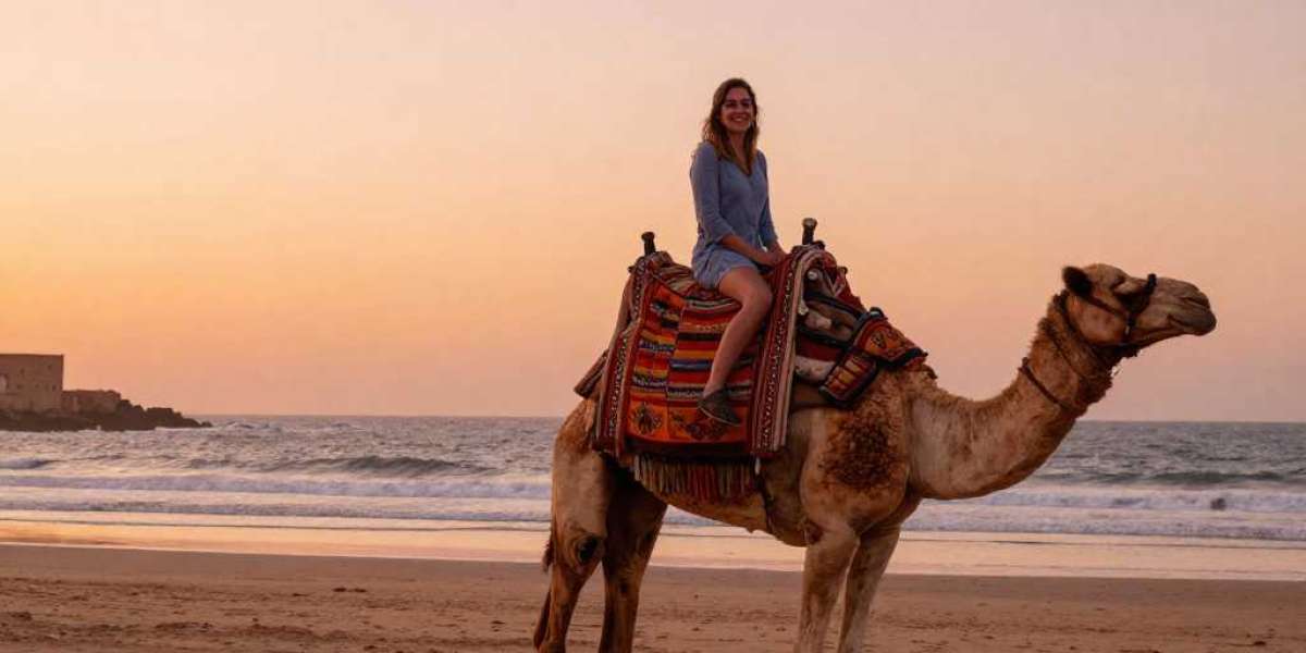 Sunset Camel Ride in Essaouira: A Magical Coastal Experience