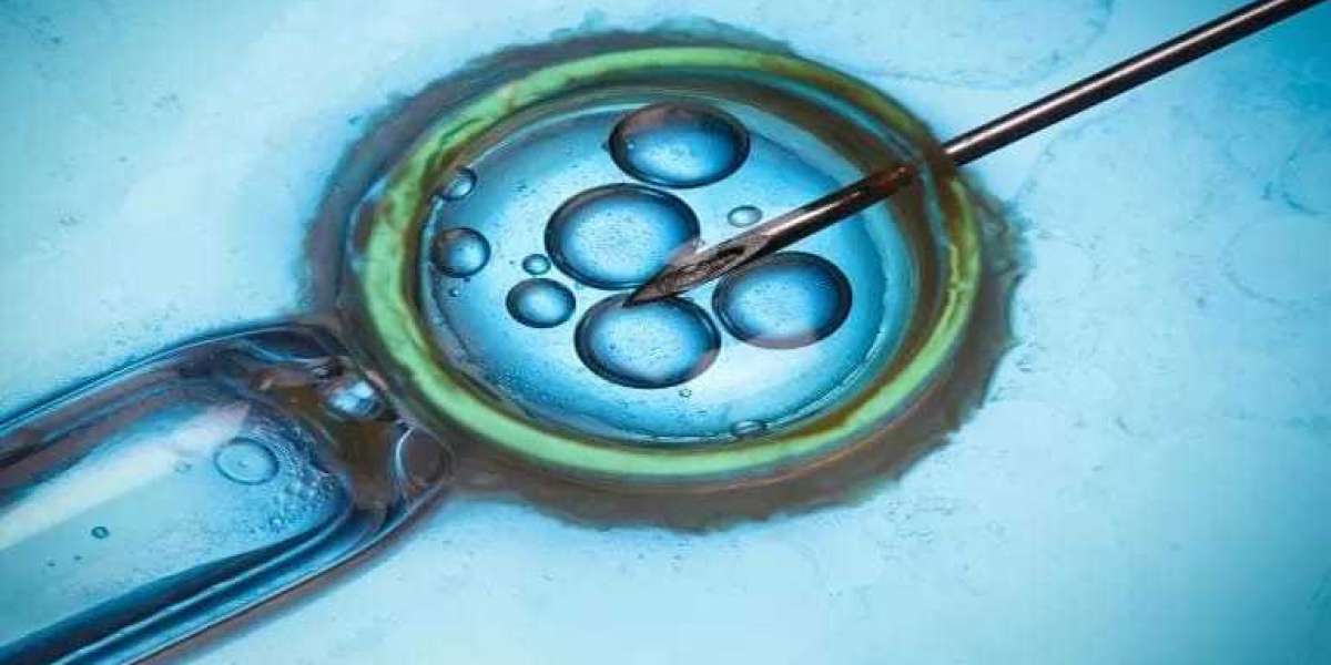 GCC In Vitro Fertilization (IVF) Market Size & Trends Forecast 2025-2033