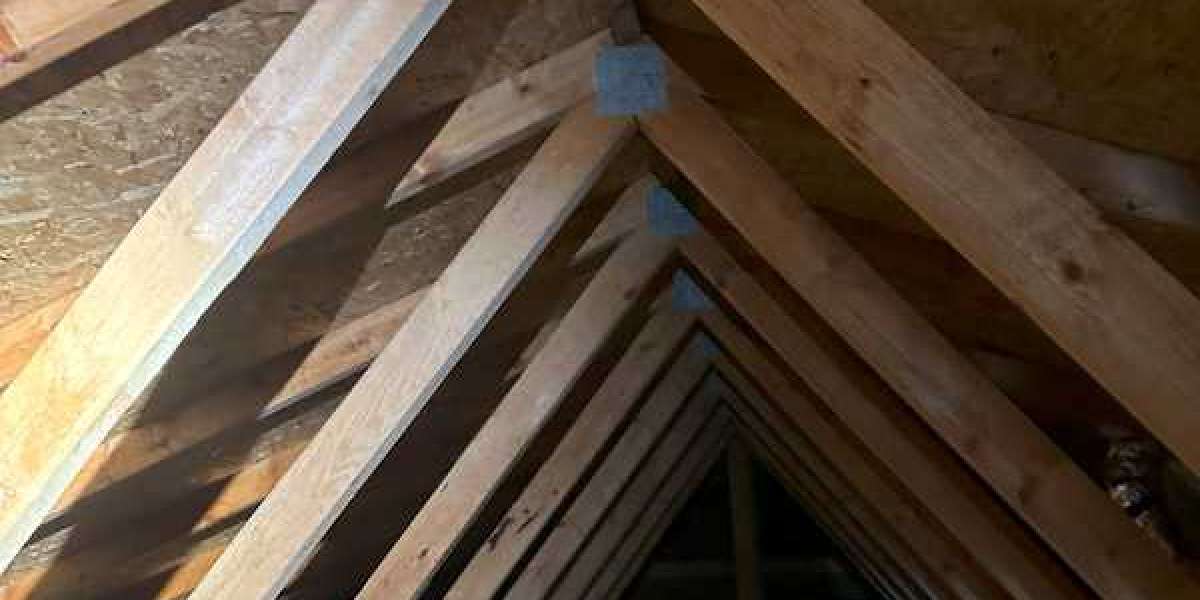 The Best Way to Clean and Sanitize After Attic Mold Removal