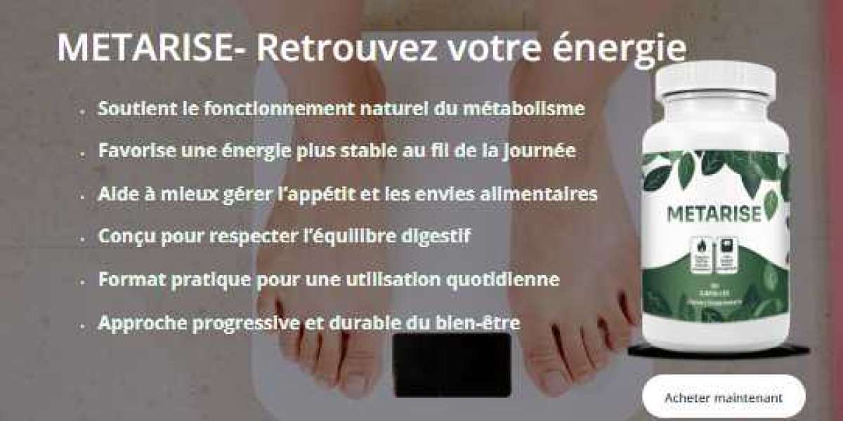 MetaRise Prix: Découvrez ici ce que les experts en disent