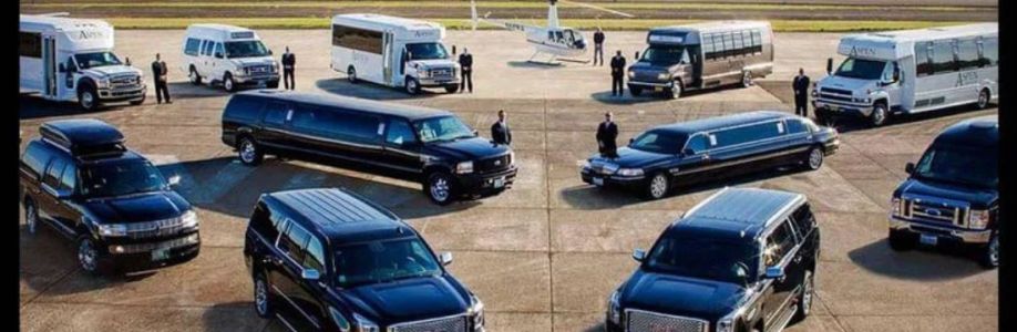 Royal Limos Co Cover Image