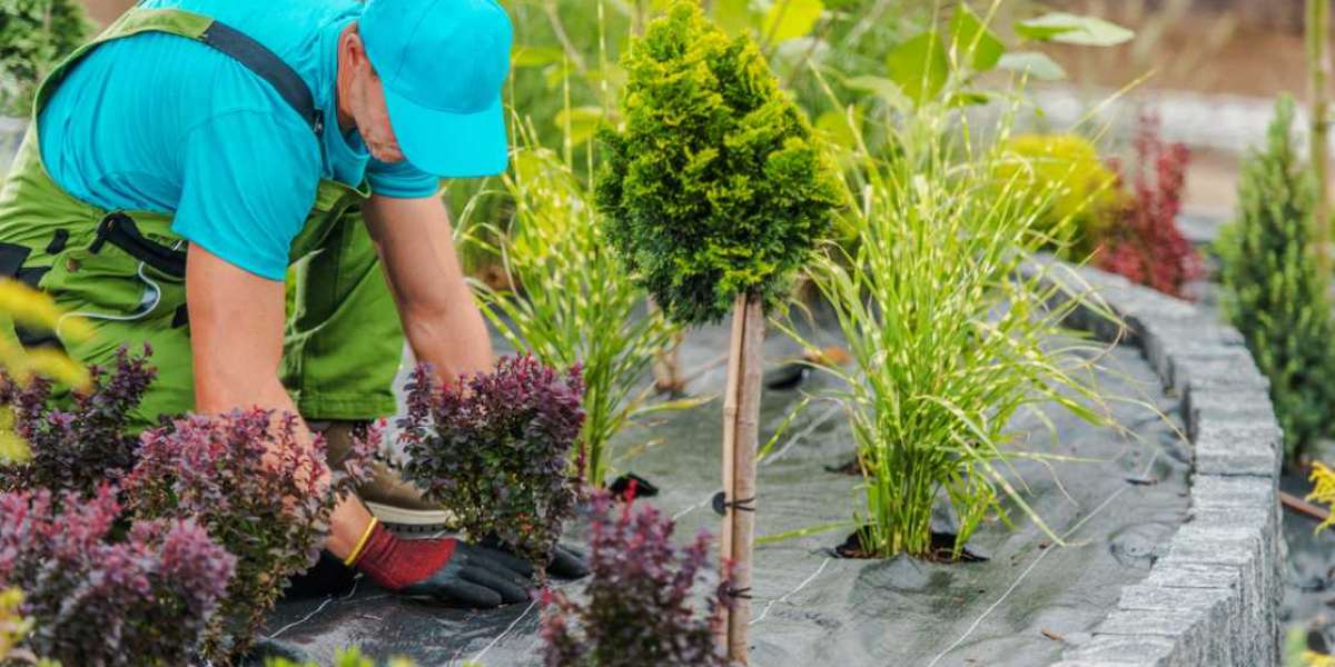 Find the Best Residential Landscaping Service Near Me