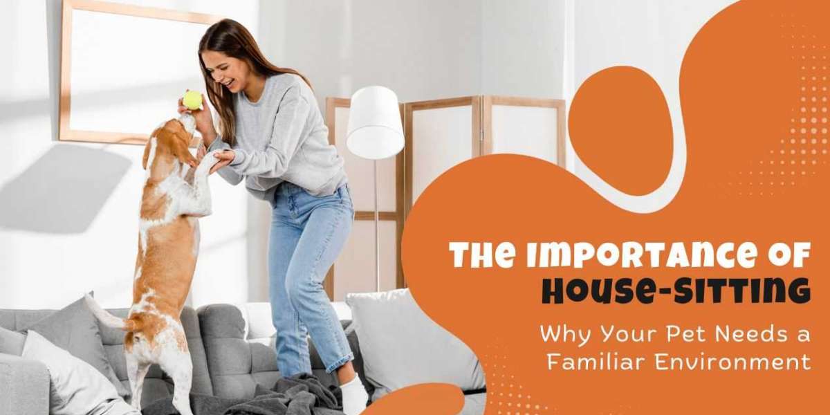 The Importance of House-Sitting - Why Your Pet Requires a Familiar Environment