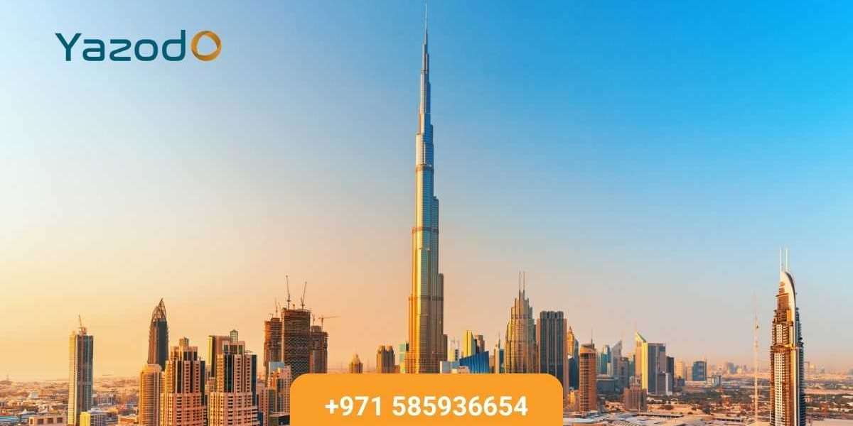 Mortgage Broker or Bank in the UAE: Which Should You Choose?