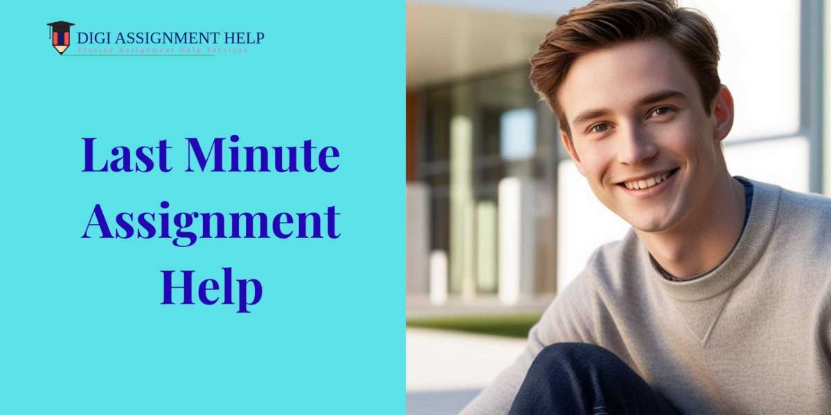 Last Minute Assignment Help: Expert Support You Can Trust