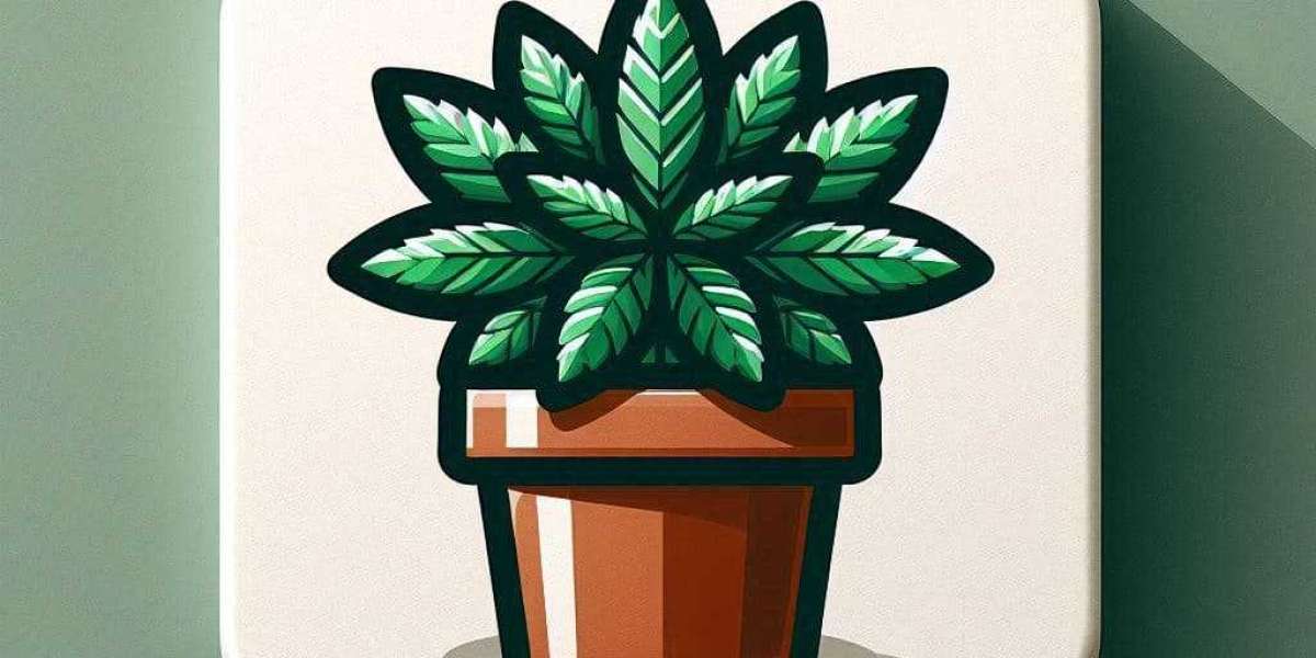 White Widow: Chill Hits Different